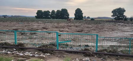 Goranboyda sel 20 evə, 200 hektar əkin sahəsinə zərər vurub