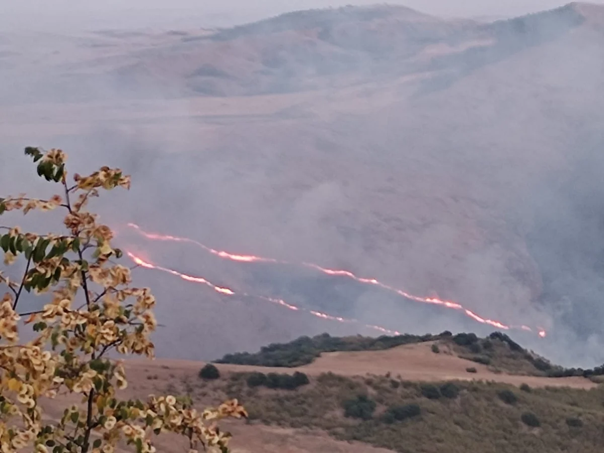 Ağsu və Şamaxının dağlıq ərazilərində yenidən yanğınlar başlayıb