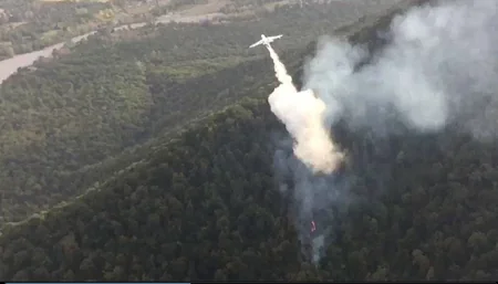 FHN meşə yanğınları ilə bağlı məlumat yayıb