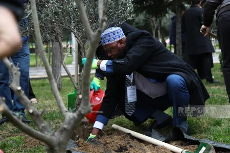 International conference participants in Baku plant trees in Zira Ecopark