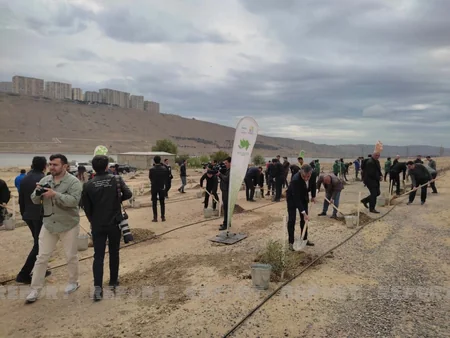Bakıda Beynəlxalq Bitki Sağlamlığı Günü münasibətilə ağacəkmə aksiyası keçirilib