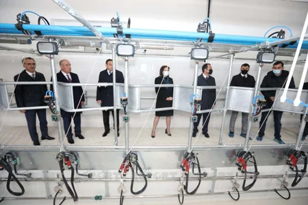 Azərbaycanda heyvanlar ilk dəfə hərraca çıxarılır