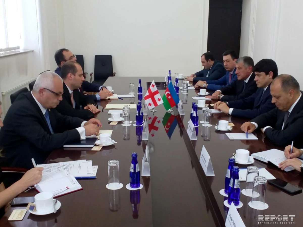 Georgian FM: Our relations with Azerbaijan developed to strategic level of partnership