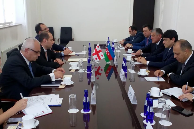 Georgian FM: Our relations with Azerbaijan developed to strategic level of partnership