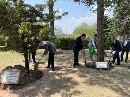 Heydər Əliyevin Pakistanda əkdiyi ağaclara qulluq göstərilib