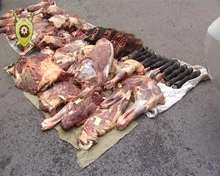 Balakəndə 500 kiloqrama yaxın mənşəyi məlum olmayan əti satmaq istəyən şəxs saxlanılıb
