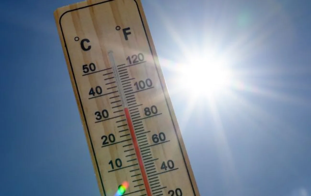 Europe heatwave: Red alerts issued in 16 Italian cities
