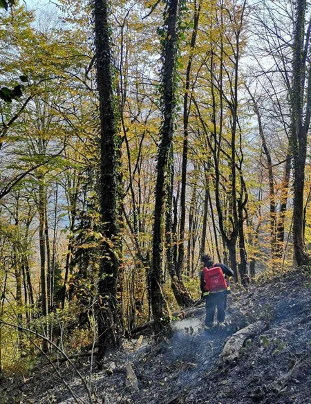 Georgia fighting to contain forest fire lasting for already two days