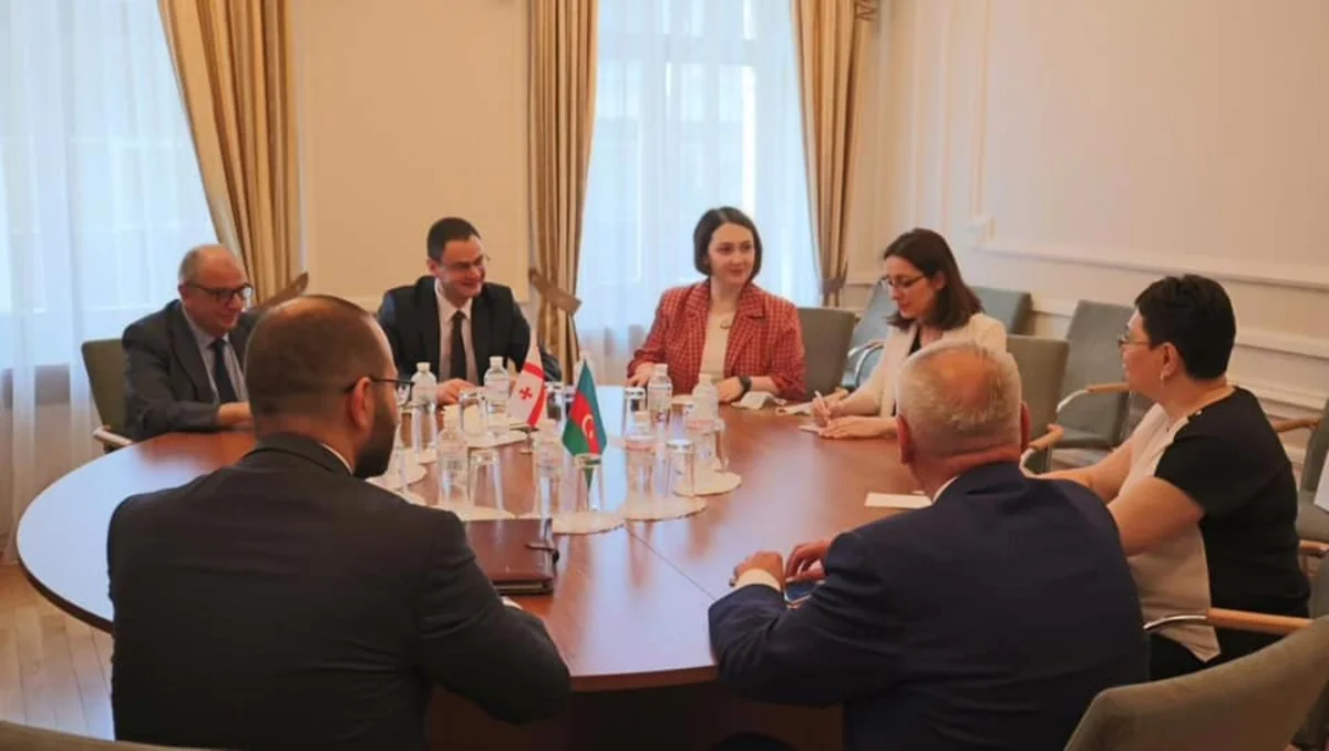 Kiyevdə Azərbaycan-Gürcüstan əməkdaşlığı müzakirə olunub