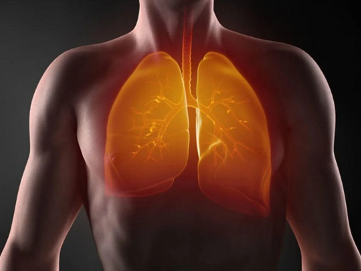 Ağciyərləri koronavirusdan qoruyan məhsullar açıqlandı