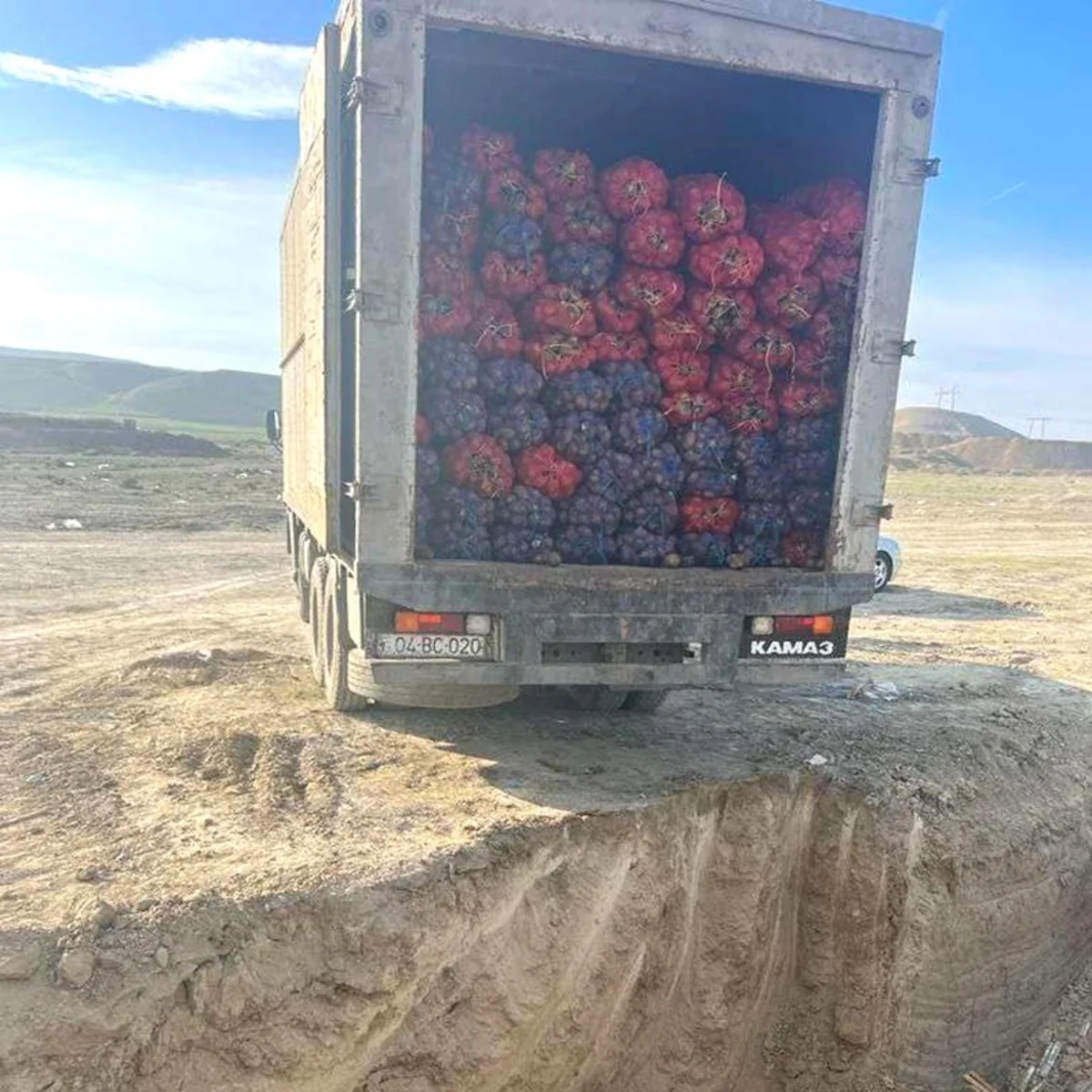 Rusiyadan idxal edilən kartofda karantin tətbiq edilən orqanizm aşkarlanıb