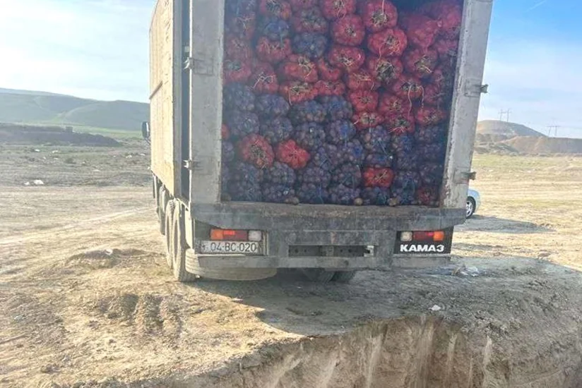 Rusiyadan idxal edilən kartofda karantin tətbiq edilən orqanizm aşkarlanıb