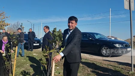 Şabranda Zəfər Günü ilə bağlı Şəhidlər xiyabanı izdihamla ziyarət olunub
