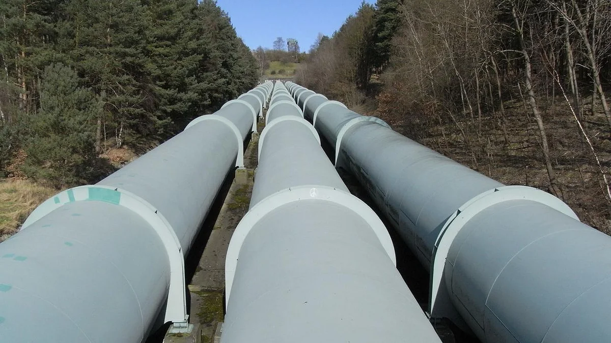 Poland stops importing Russian oil through Druzhba pipeline