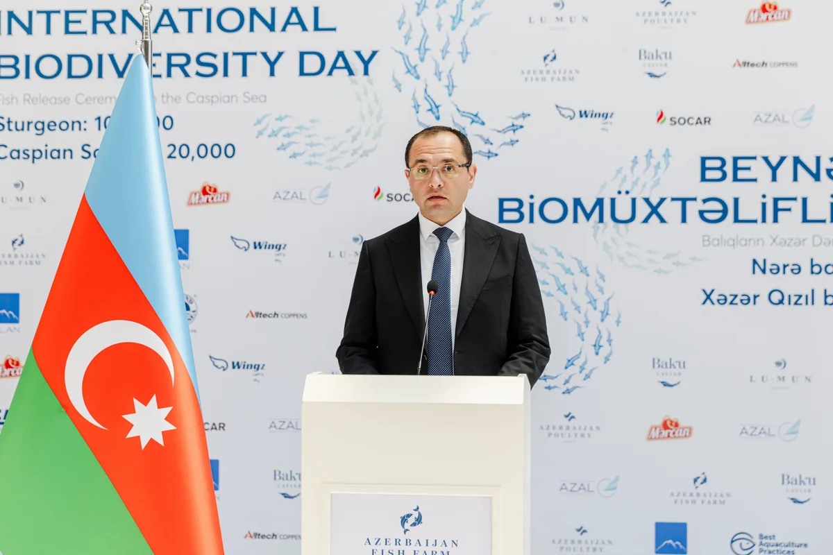 Nazir: Balıq ehtiyatlarının düzgün idarə olunması iqtisadi fəaliyyəti davamlı edir