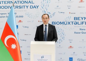 Məcnun Məmmədov: Balıq ehtiyatlarının düzgün idarə olunması regionlarda iqtisadi fəaliyyətin davamlılığını təmin edir