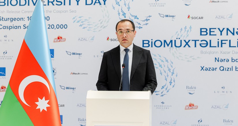 Nazir: Balıq ehtiyatlarının düzgün idarə olunması iqtisadi fəaliyyəti davamlı edir 