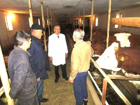 Lerikdə heyvanlar arasında profilaktik peyvəndləmə və diaqnostik müayinələr aparılır