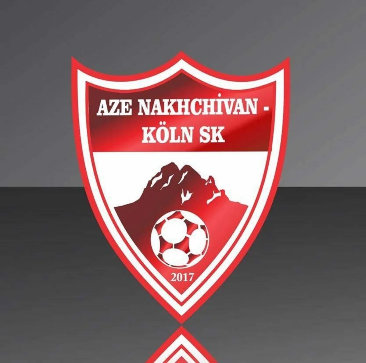 Almaniyanın AZE Nakhchivan SK klubunun prezidenti: “Azərbaycan klubları ilə əməkdaşlığa hazırıq