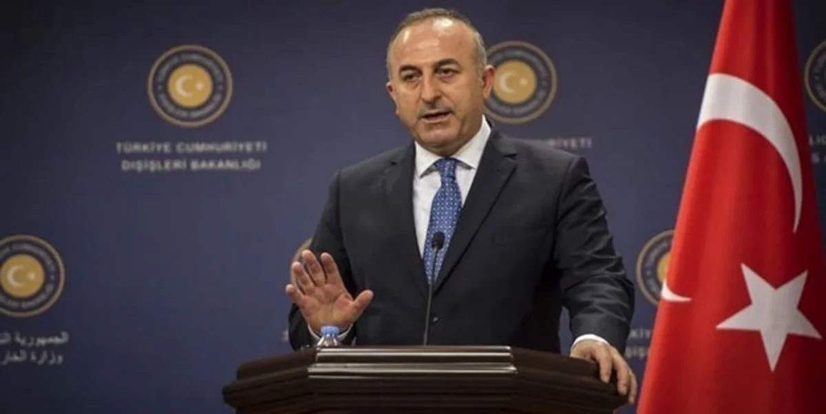 Türkiyə XİN başçısı ərəb dövlətlərini ittiham edib