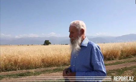 Интересная традиция в единственном колхозе Азербайджана - ВИДЕО