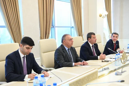 MM üzvləri Britaniya parlamentinin Lordlar Palatasının üzvü ilə görüşüblər