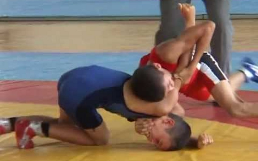 Azərbaycanın iki güləşçisi Hollandiyada medal qazanıb