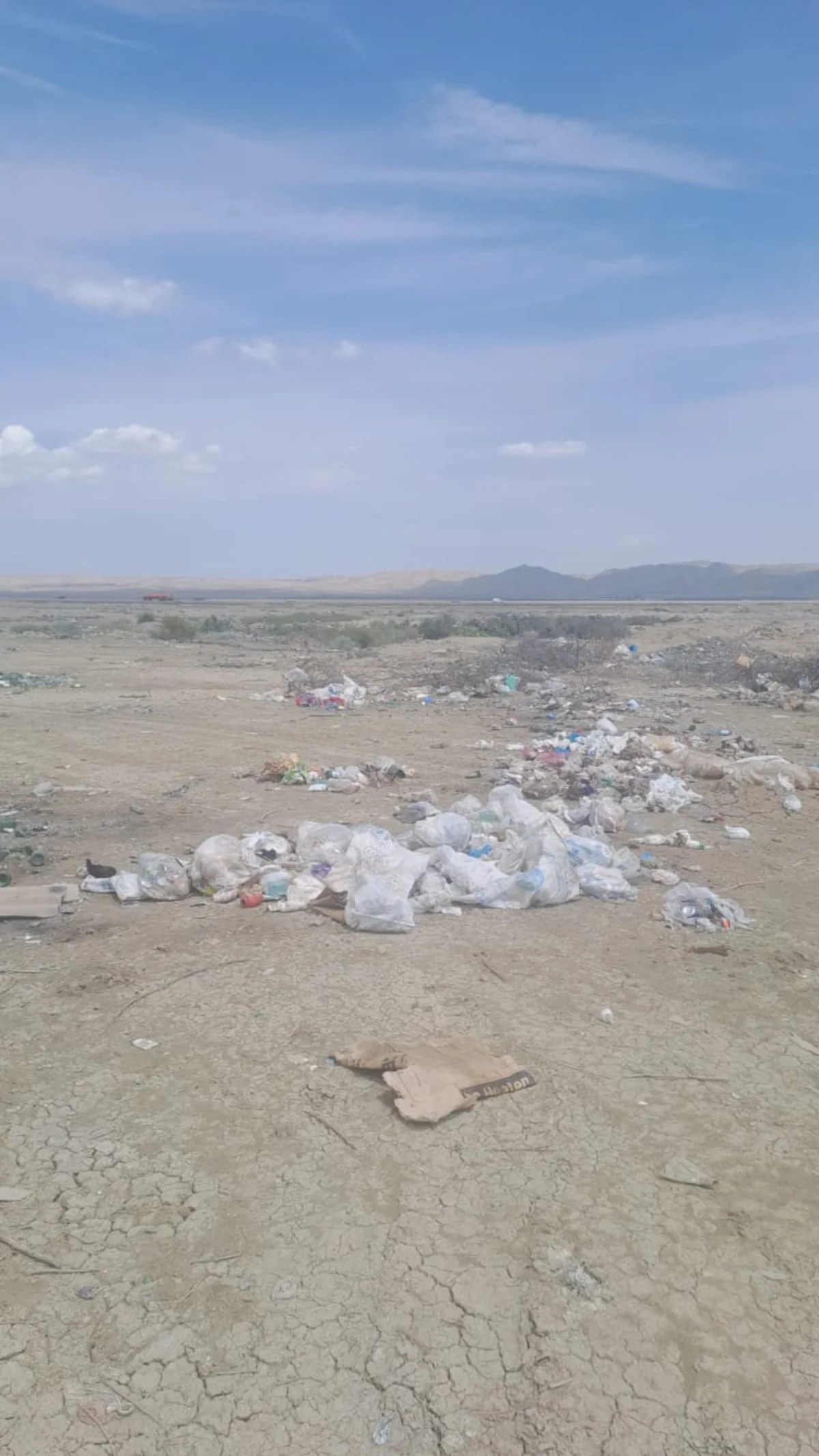 Hacıqabulda bələdiyyə sədri barəsində protokol tərtib olunub