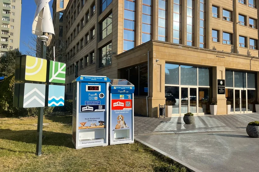 В Баку запушен новый проект в помощь бездомным животным