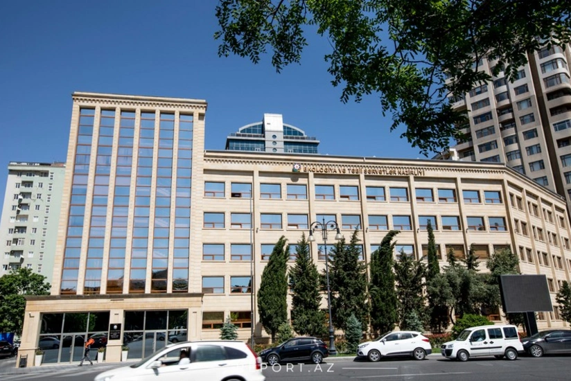 Началось расследование в связи с жестоким обращением с бездомной собакой