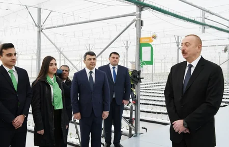 Prezident İlham Əliyev Tərəvəzçilik Elmi-Tədqiqat İnstitutunun açılışında iştirak edib - YENİLƏNİB