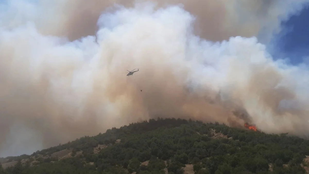 Osmaniyə və Kahramanmaraşda meşə yanır