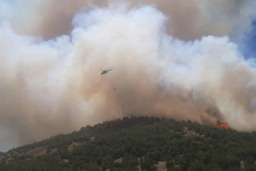 Osmaniyə və Kahramanmaraşda meşə yanır