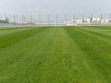 ​Milli komandalar üçün məşq meydançası istifadəyə verilib - FOTO