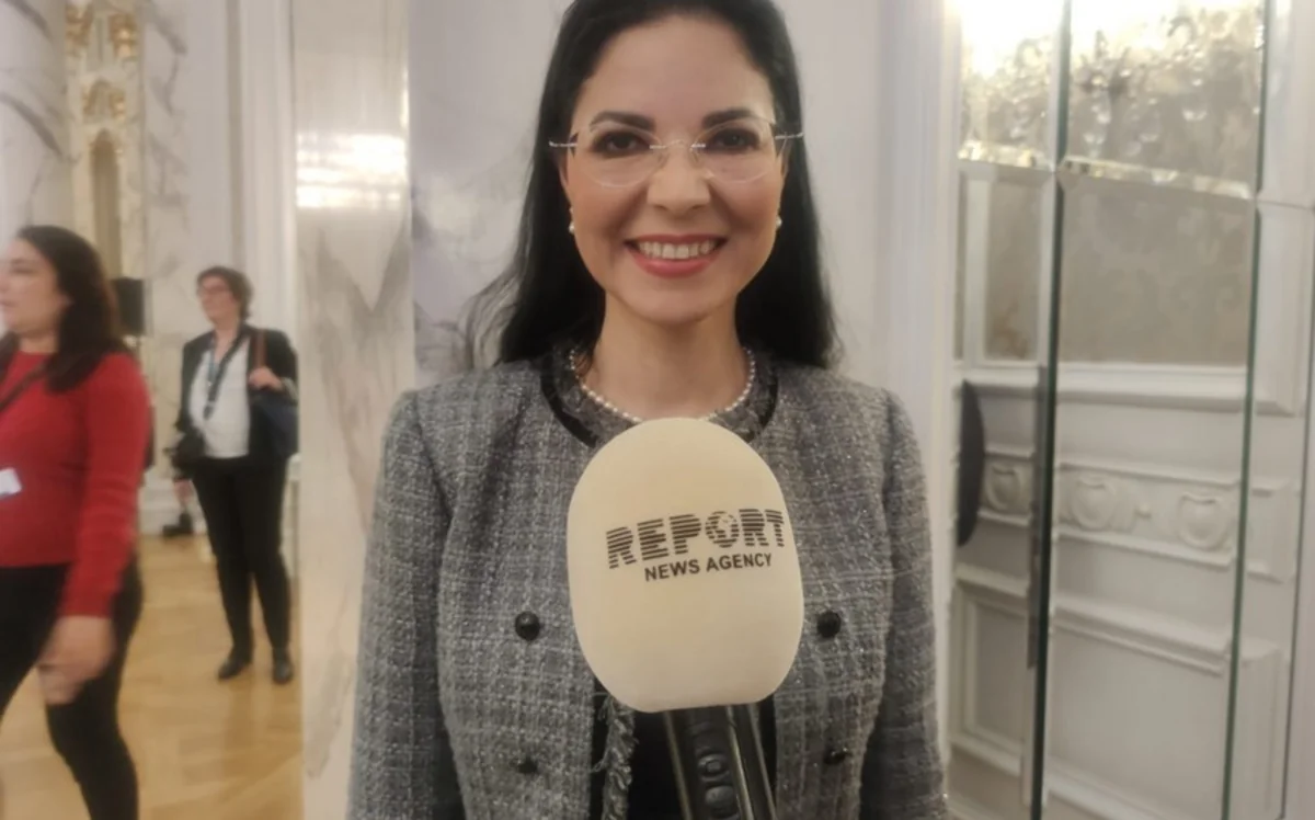 Ana Birchall: Energy co-op with Azerbaijan - one of key partnership areas