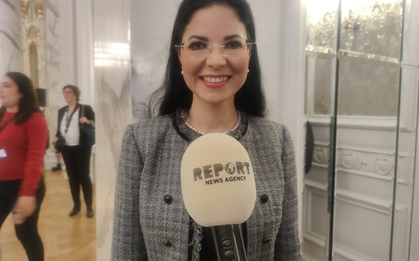 Ana Birchall: Energy co-op with Azerbaijan - one of key partnership areas 