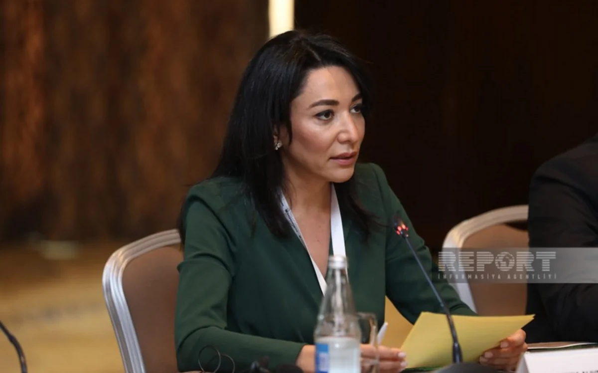 Səbinə Əliyeva: Ermənistanda Azərbaycan Ordusunun hərbçisinin ömürlük həbs olunması beynəlxalq hüquqa ziddir