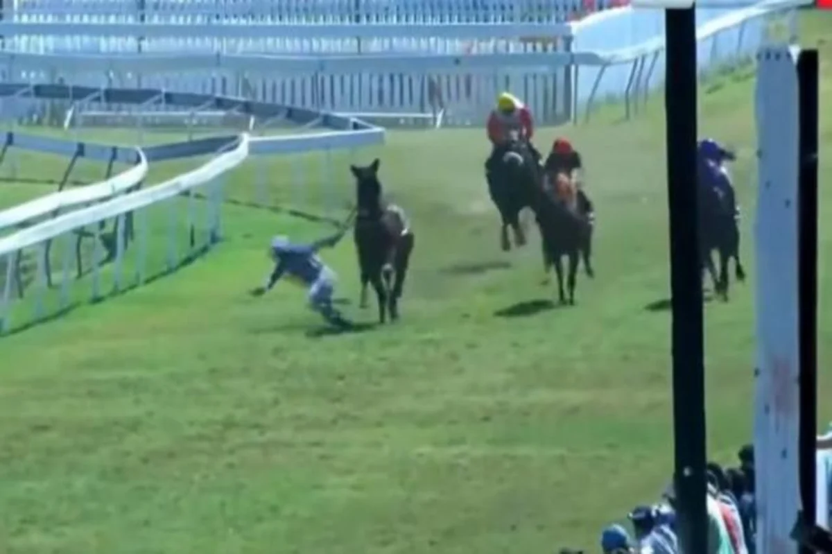 Fransada yarış zamanı atdan yerə tullanan idmançı diskvalifikasiya edilib