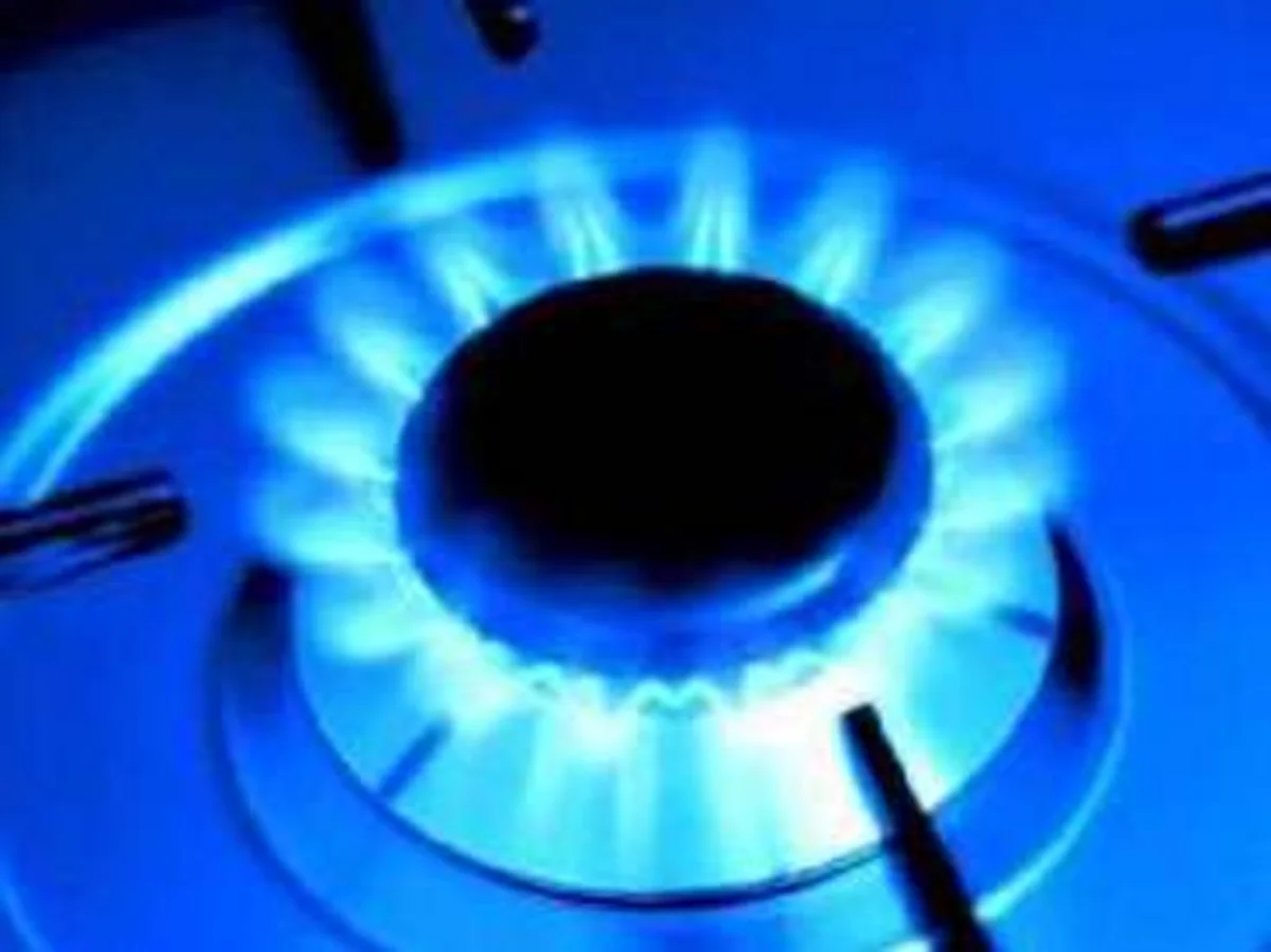 Azərbaycanda daha 14 kəndə qaz verilib