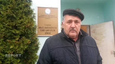 ​Xəzərin sahilində Azərbaycan üçün xarakterik olmayan heyvanlar peyda olub - FOTO