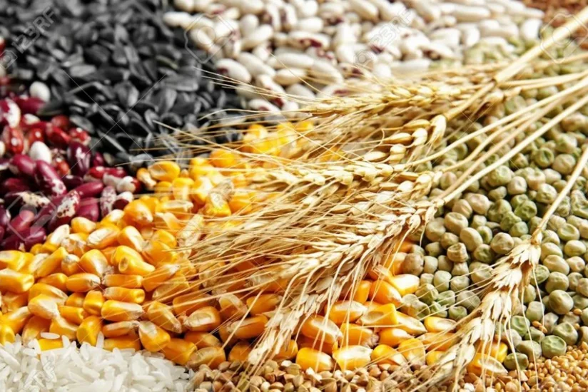 Azerbaijan increases cost of importing grain, bean products from Turkiye by 3-fold