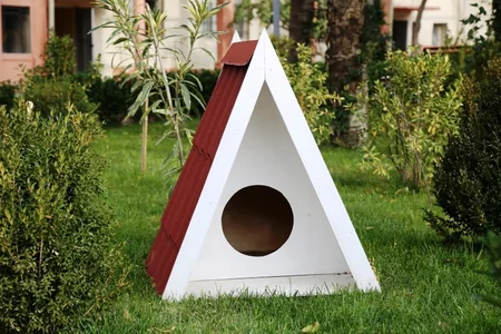 Bakıda daha bir həyət yenilənib