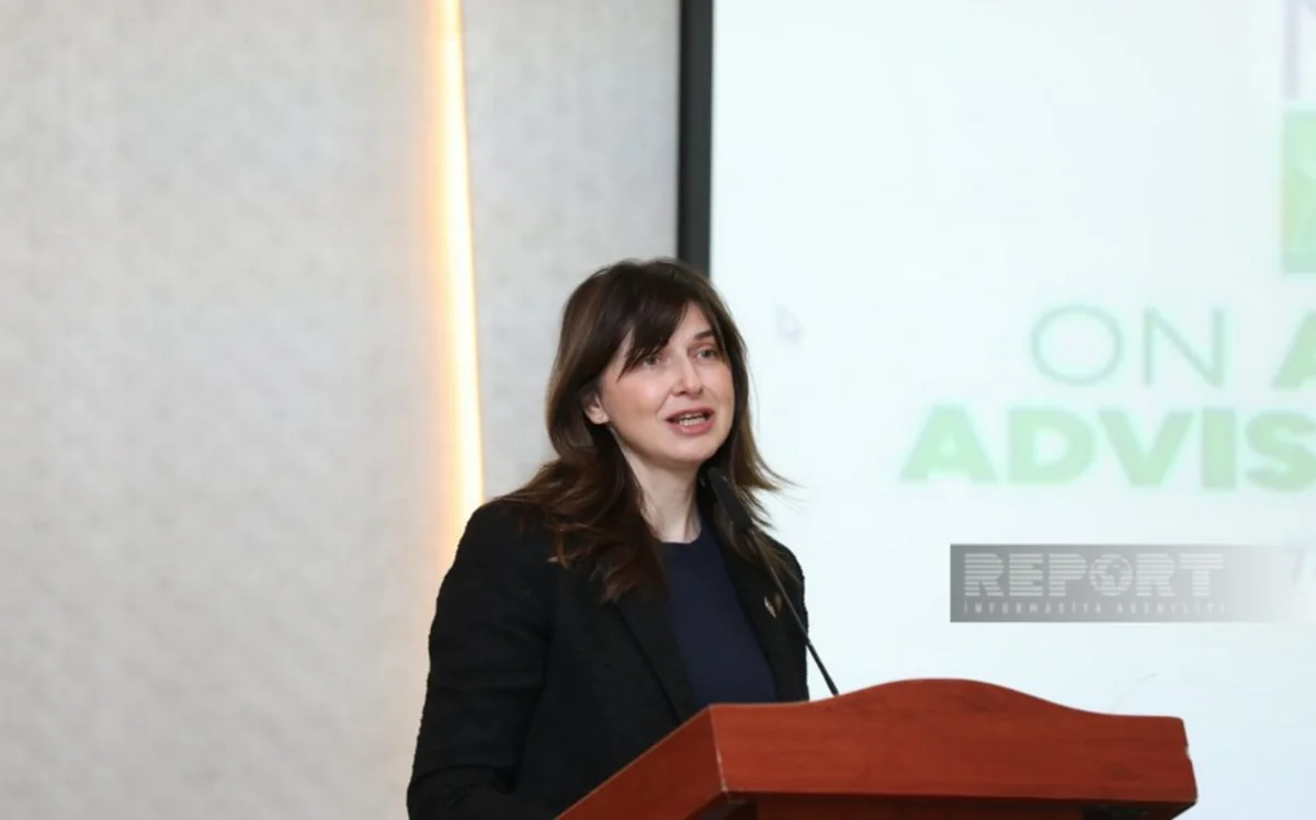 UN resident coordinator congratulates Azerbaijan on its election as ECOSOC member