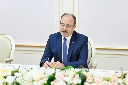 Sahibə Qafarova Türkiyə səfirini qəbul edib