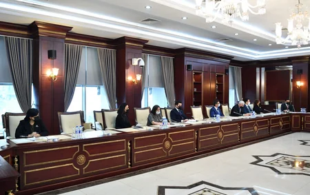 Azərbaycanda dəm qazı zəhərlənmələri və qaz partlayışı ilə bağlı qanun layihələri hazırlanıb