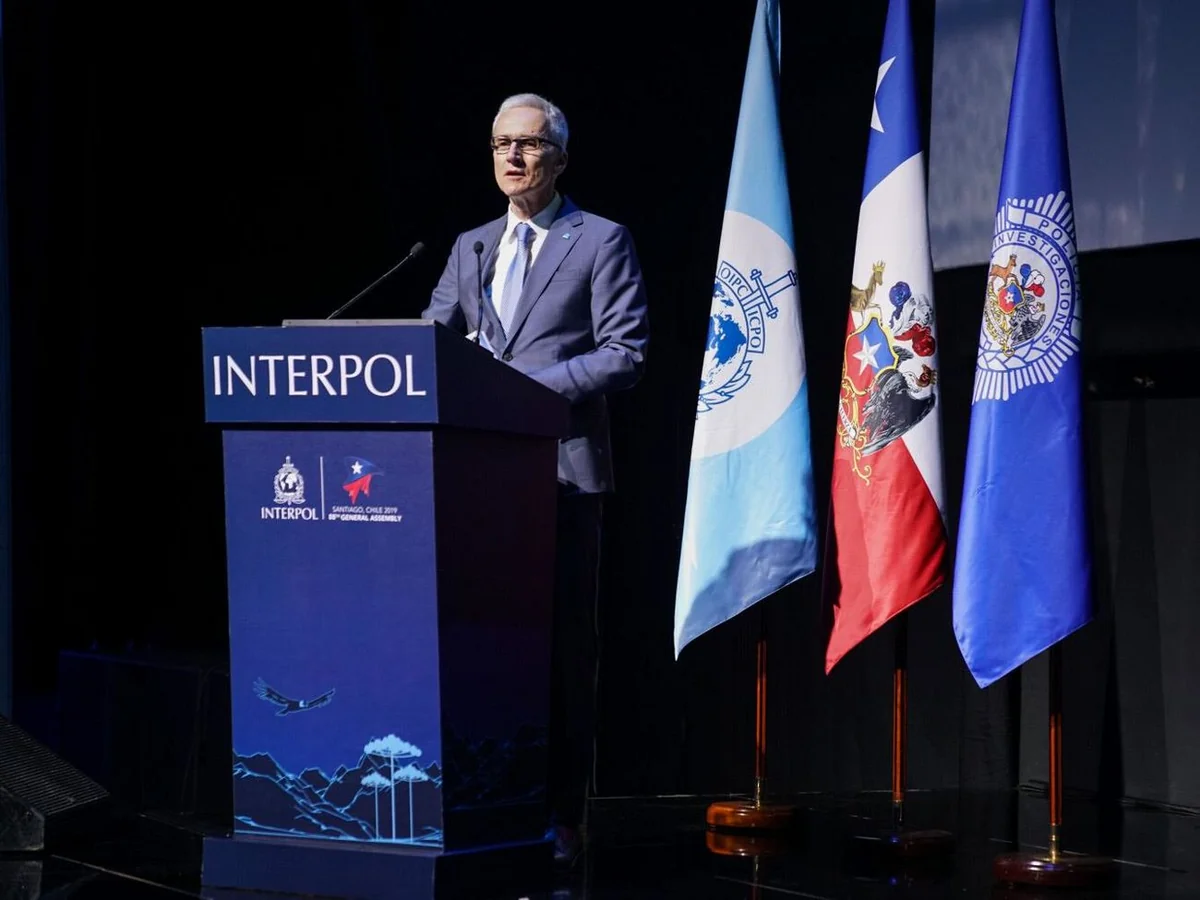 Interpol chief: “With vaccines rolling out, crime will increase dramatically”