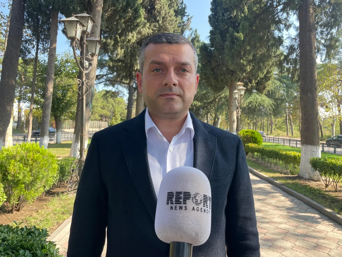 Georgian MP: Relations with Azerbaijan example for other countries