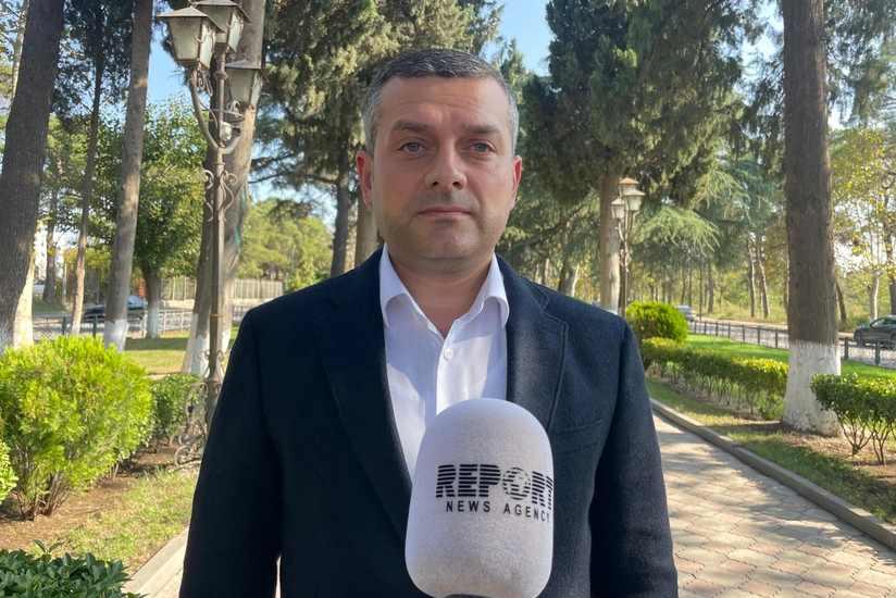 Georgian MP: Relations with Azerbaijan example for other countries