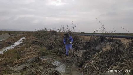 Abşeronda 82 mm-lik top mərmisi aşkarlanıb - FOTO