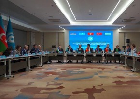 OTS states ink documents on cooperation in media